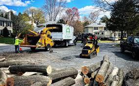 Best Emergency Tree Removal  in Bazon, CA