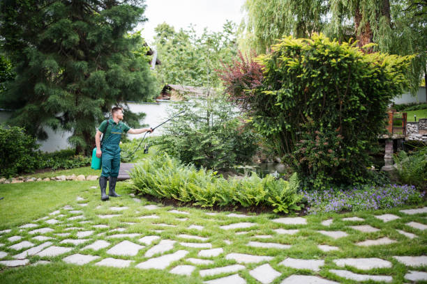 Best Artificial Turf Installation  in Bazon, CA