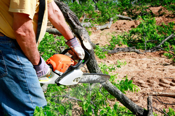 Soil Testing and Treatment in Cabazon, CA